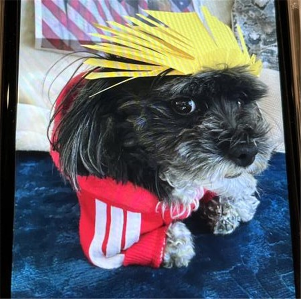 /Images/uploads/The Santa Fe New Mexican/santafepetcontest/entries/34010thumb.jpg